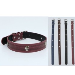 3.0 鬼头 Collar Para Perros