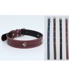 3.0 鬼头 Collar Para Perros