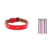 子弹狗项圈2.0*45cm Collar Para Perros