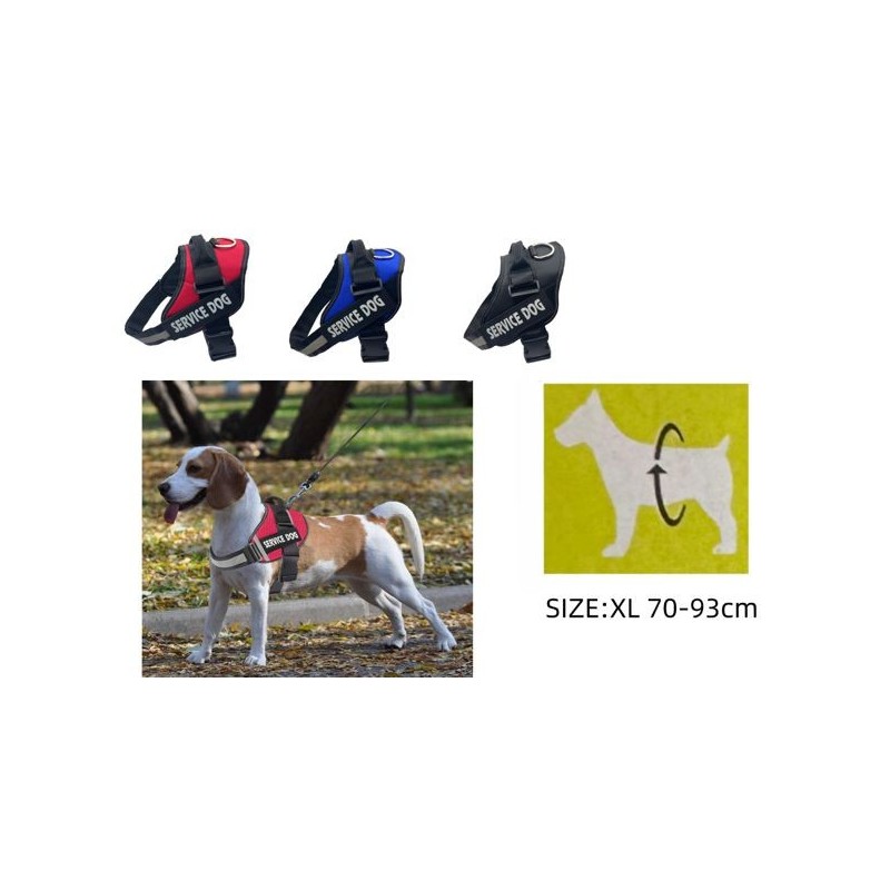 防冲胸背 尺寸 XL Arnes F8 Talla Xl