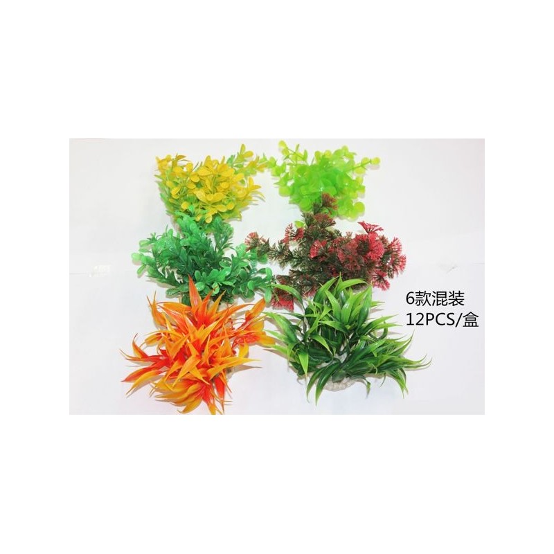 圆底水草 Accesorio De Acuario